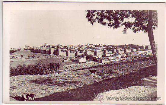 Postales: 7 - avila - vista general - postal fotografica - ed. garcia garrabella