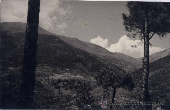 Postales: PEDRO BERNARDO (&Aacute;VILA).- VISTA