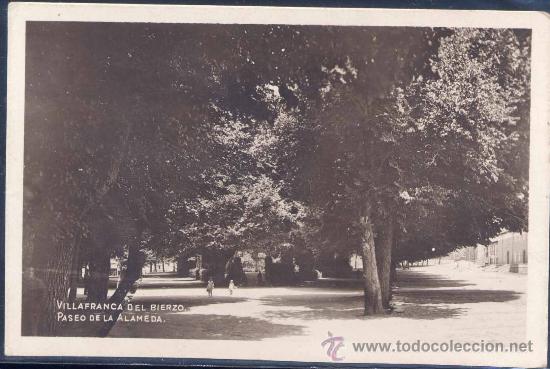 Postales: VILLAFRANCA DEL BIERZO (LE&Oacute;N).- PASEO DE LA ALAMEDA