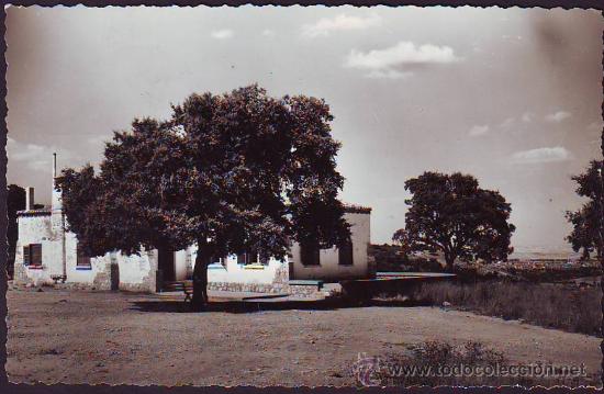 Postales: PALENCIA. Monte El Ovejo - Foto 1