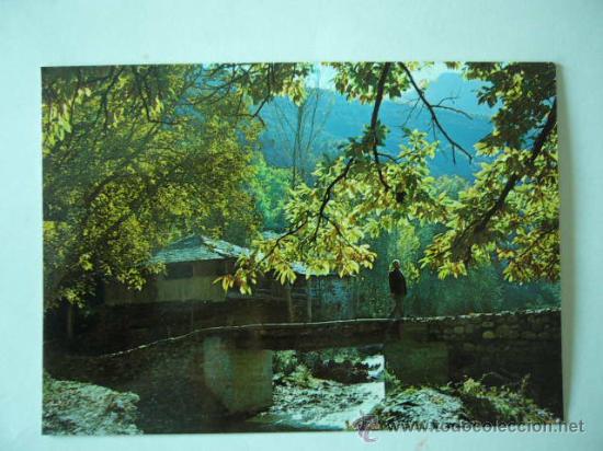 Postales: BIERZO. LEON. N&ordm; 45. ARRIBAS. ESCRITA Y CIRCULADA