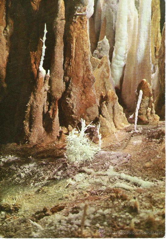 Postales: postal de avila - arnas de san pedro -