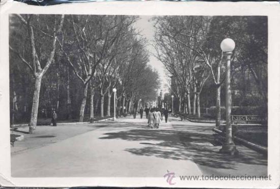 Postales: VALLADOLID.- CAMPO GRANDE-PASEO DE ESPA&Ntilde;A