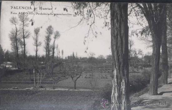 Postales: PALENCIA.- HUERTAS- FOTO ALONSO