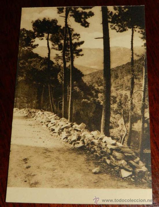 Postales: ANTIGUA POSTAL DE SIERRA DE GREDOS (AVILA) ARENAS DE SAN PEDRO, PAISAJE CERCA DELPUENTE DE PELAYO -