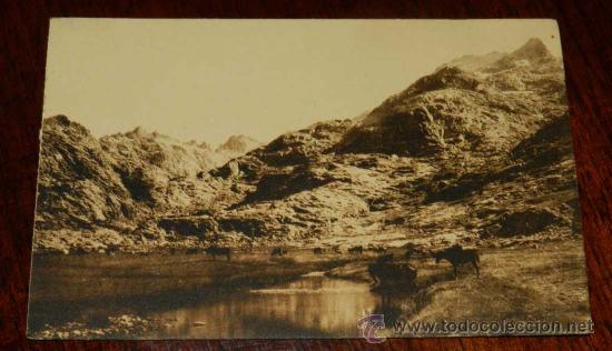 Postales: ANTIGUA POSTAL DE SIERRA DE GREDOS (AVILA) LA GARGANTA GRANDE - FOTOGRAFIA WUNDERLICH - NUM 2252 - S