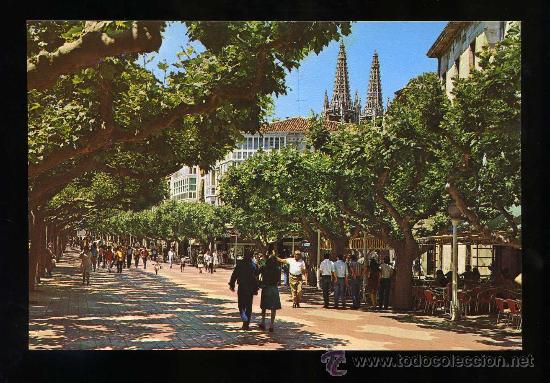 Postcards: Burgos. *El Espol&oacute;n* Ed. A. G. n&ordm; 102. Nueva.