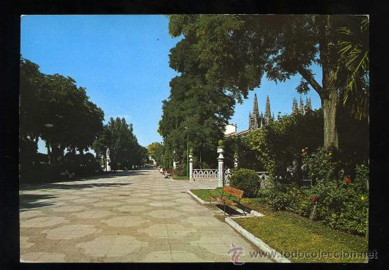 Postales: *Paseo del Espol&oacute;n. vista parcial* Ed. M. Royuela n&ordm; 27. Circulada.