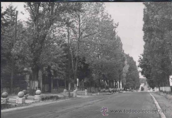Postales: SAN RAFAEL (SEGOVIA).- CARRETERA