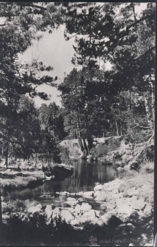 Postales: NAVARREDONDA DE LA SIERRA (&Aacute;VILA).- PRESA DEL MOLINO EN EL R&Iacute;O TORMES