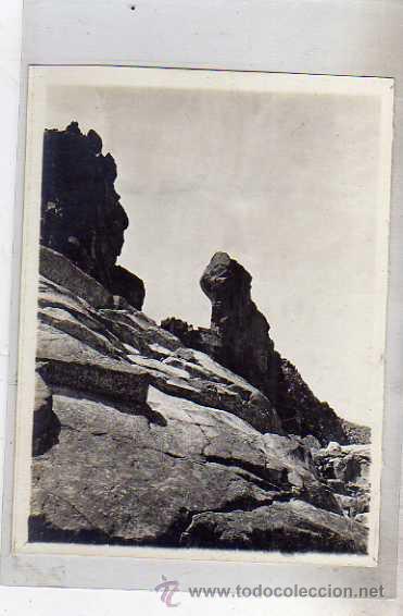 Postales: Avila. Foto de 12 x 9 cm. Sierra de Gredos. Los hermanitos de Gredos.