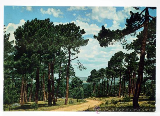 Postales: Postal Navas del Marqu&eacute;s Pinares Ed Vistabella 1971 sin circular