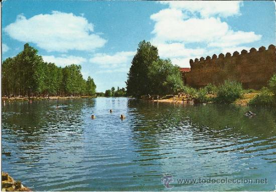Postales: POSTAL: MANSILLA DE LAS MULAS (LEON) - MURALLAS Y RIO ESLA.