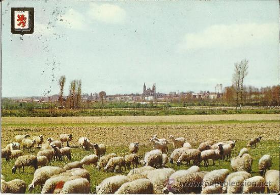 Postales: POSTAL: LEON - PAISAJE LEON&Eacute;S CON LA CATEDRAL AL FONDO.