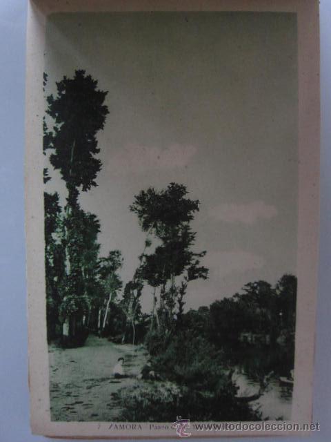 Postales: POSTAL ANTIGUA DEL PASEO DE LOS TRES &Aacute;RBOLES DE ZAMORA
