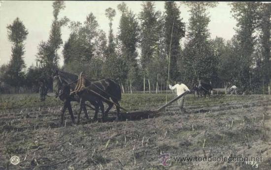 Postales: MEDINA DEL CAMPO (VALLADOLID).- FOTOGR&Aacute;FICA