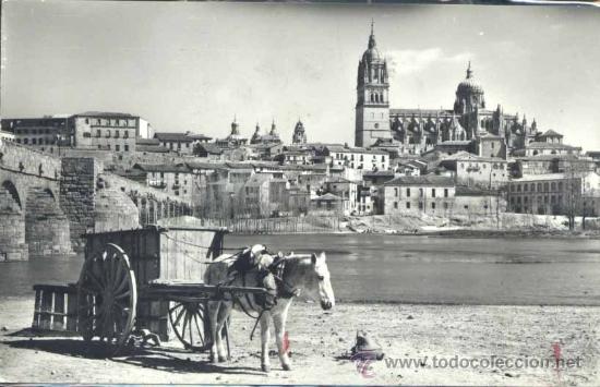 Postales: SALAMANCA.- VISTA PARCIAL