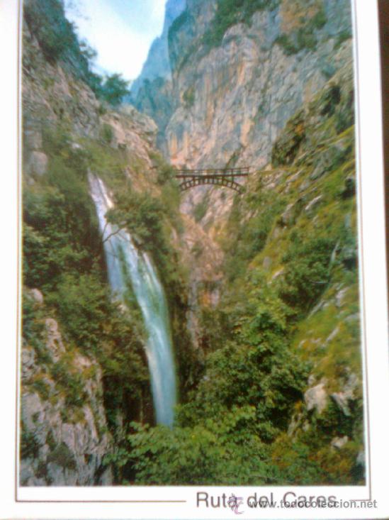 Postales: Postal Leon - Ruta del cares - Puente Bol&iacute;n sobre el rio - Picos de europa -Ed. 1991