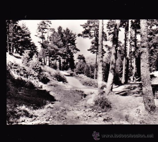Postales: San Rafael &middot;&middot; Segovia &middot; Paisaje