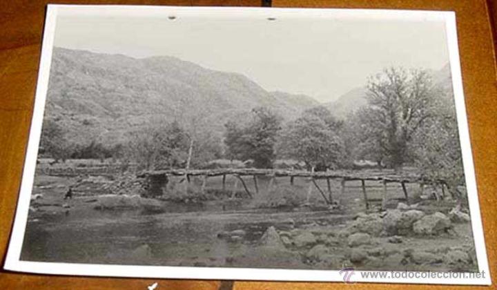 Postales: ANTIGUA FOTOGRAFIA POSIBLEMENTE DE ZAMORA O PUEBLA DE SANABRIA - MIDE 11 X 8 CMS.