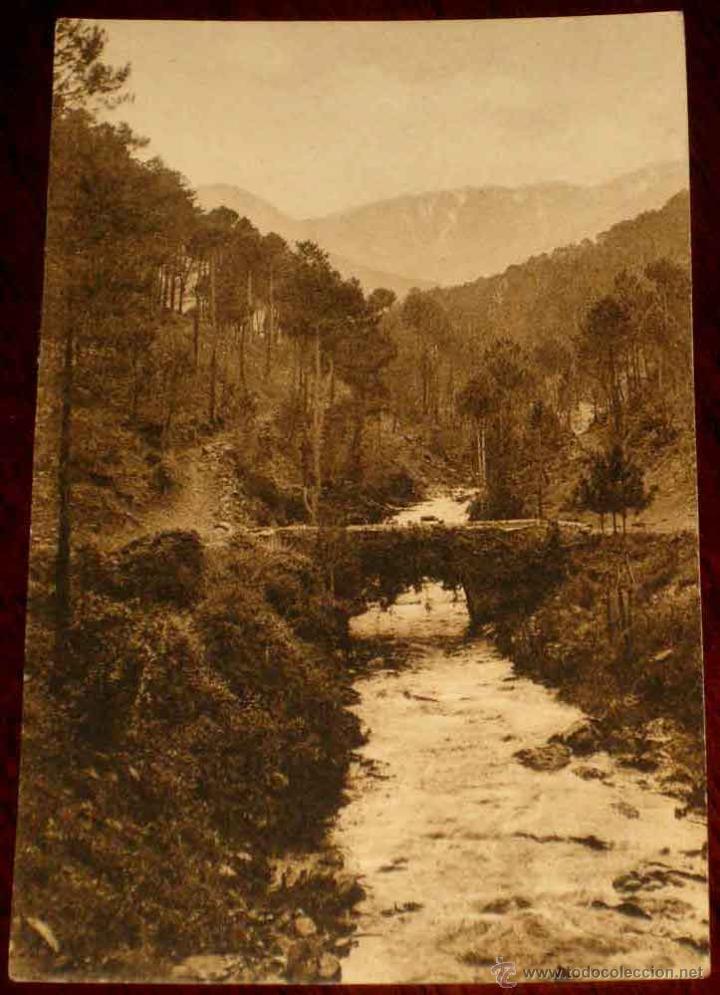 Postales: ANTIGUA POSTAL DE SIERRA DE GREDOS - AVILA - EL PUENTE DE PELAYO - FOTO WUNDERLICH - N. 1921 - NO CI