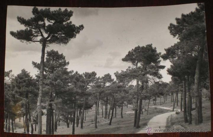 Postales: ANTIGUA FOTO POSTAL DE AVILA - LAS NAVAS DEL MARQUES - ED. GARCIA GARRABELLA - NO CIRCULADA - ESCRIT