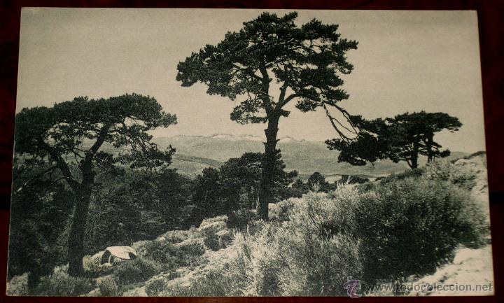 Postales: ANTIGUA POSTAL DE PAISAJE DE LOS ALREDEDORES DEL PARADOR NACIONAL DE GREDOS (AVILA). KALLMEYER Y GAU