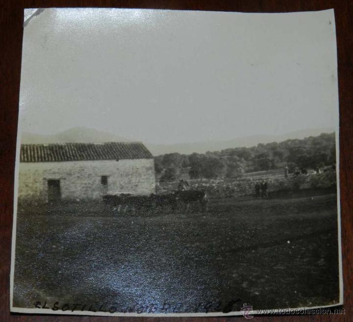 Postales: ANTIGUA FOTOGRAFIA DE SOTILLO DE LA ADRADA, AVILA, 1925, MIDE 8,5 X 8,5 CMS