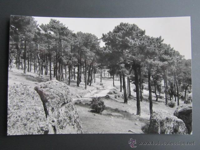 Postales: Postal &Aacute;vila. Las Navas del Marqu&eacute;s. - Foto 1