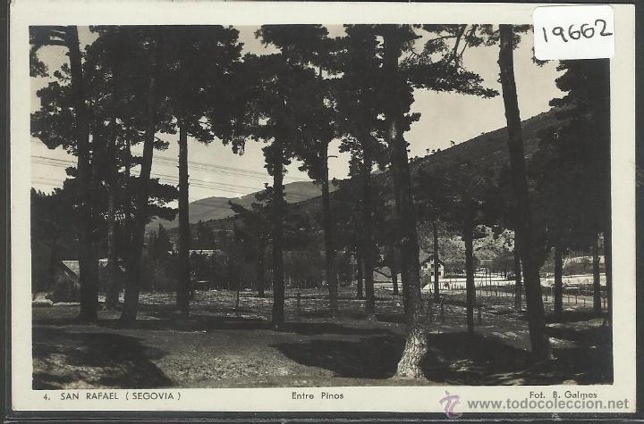 Postcards: SAN RAFAEL - 4- ENTRE PINOS- FOTO GALMES - (19662)