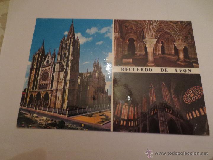 Postales: leon. catedral.