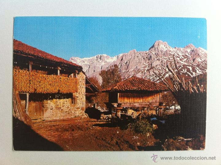 Postales: POSTAL SOTO DE VALDEON. PICOS DE EUROPA. EDICIONES SICILIA. ESCRITA