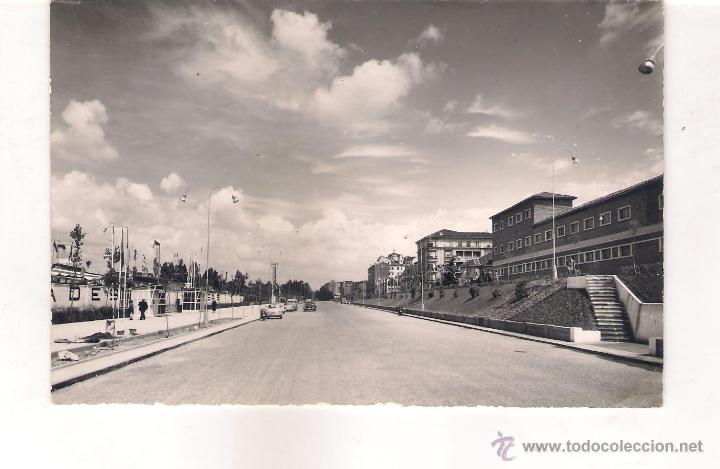 Postales: POSTAL DE LEON - AVENIDA DE LA FACULTAD