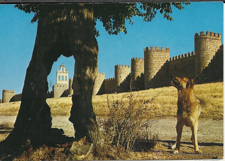 Postales: ANTIGUA POSTAL DE AVILA CON PROPAGANDA POR DETRAS