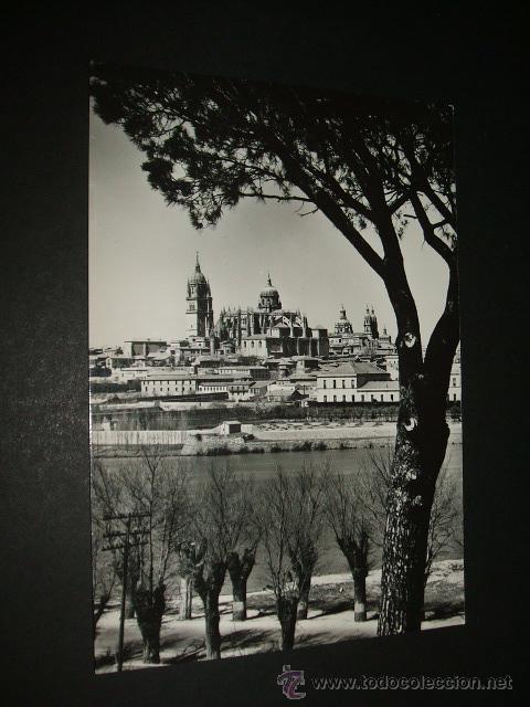 Postales: SALAMANCA LA CATEDRAL - Foto 1