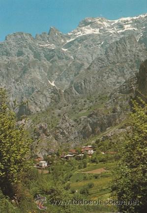 Postales: CORDI&Ntilde;ANES - PICOS DE EUROPA - N&ordm; 256 - ED. BUSTAMANTE - A&Ntilde;O 1979 - NUEVA -