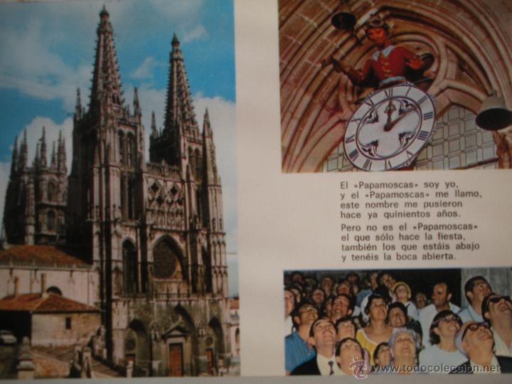 Postales: MAGNIFICA POSTAL DE -MOLINILLO - BURGOS - - Foto 1