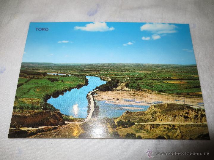Postales: toro  zamora - Foto 1
