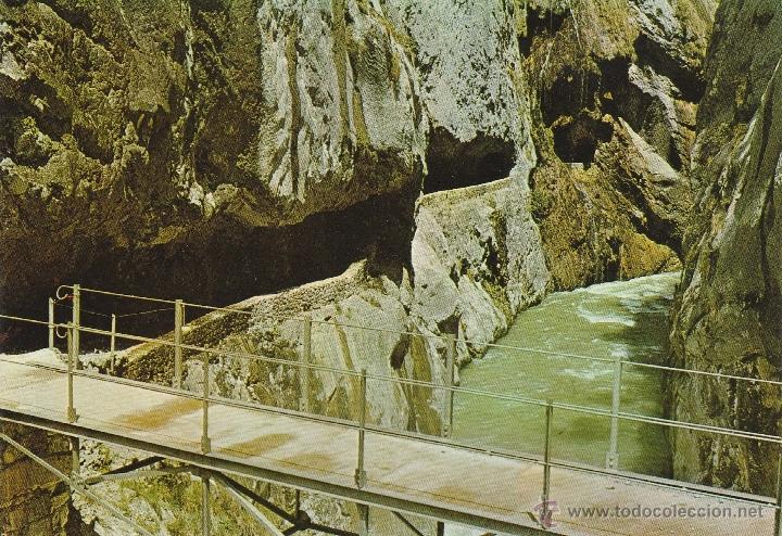 Postales: N&ordm; 19691 POSTAL PICOS DE EUROPA ENTRADA A LA GARGANTA DEL CARES POR CAIN LEON