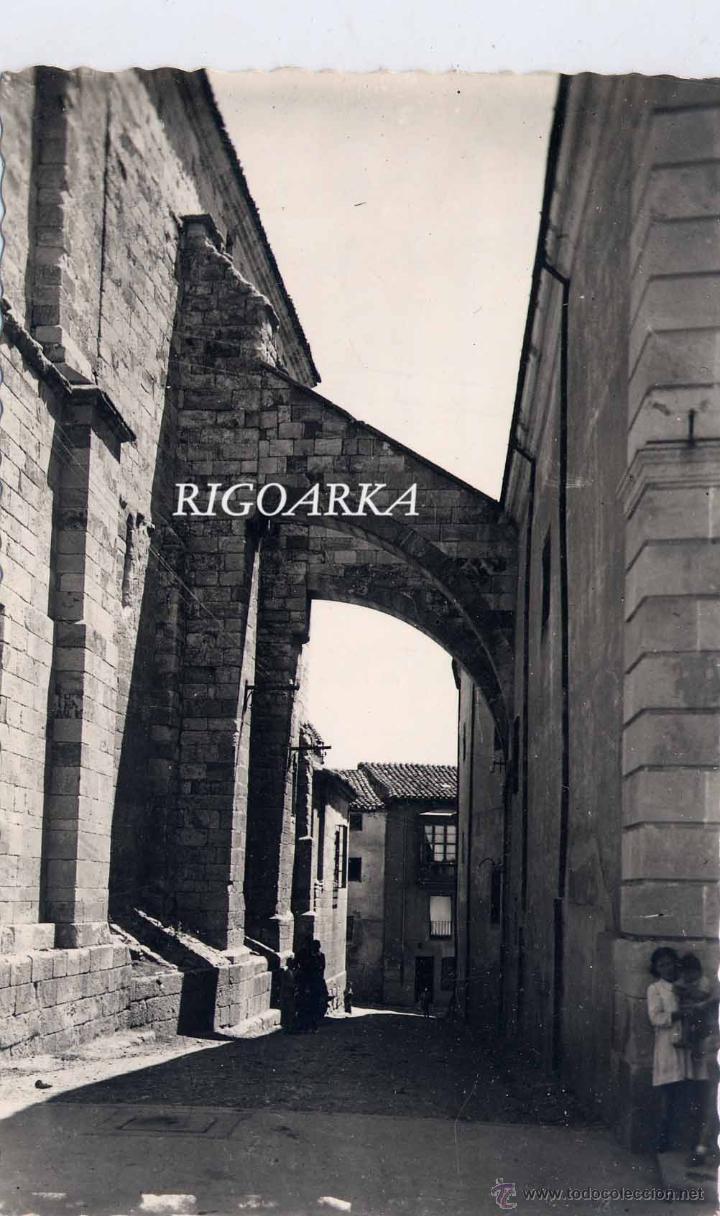 Postales: ZAMORA.- ARBOTANTES DE SAN ILDEFONSO