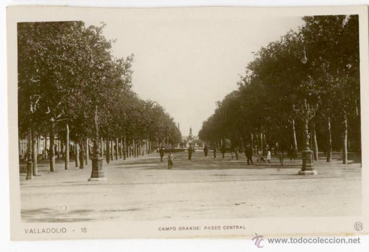 Postais: VALLADOLID- CAMPO GRANDE:PASEO CENTRAL
