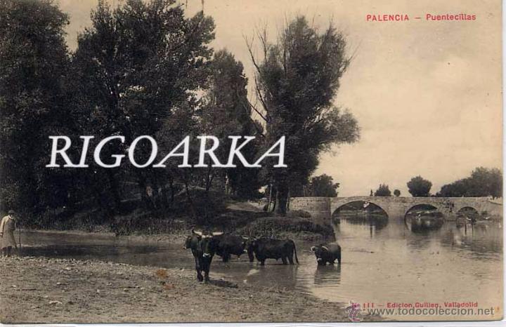 Postales: PALENCIA.- PUENTECILLAS