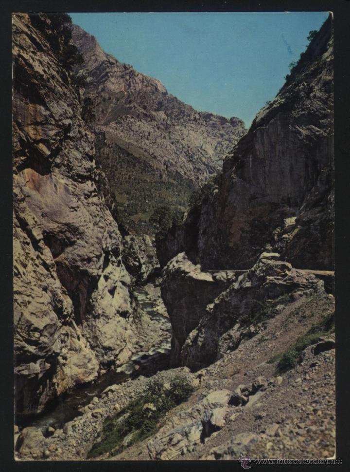 Postales: LE-0356- LE&Oacute;N. CAIN - Foto 1