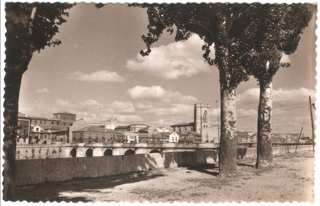 Postales: Palencia Puente Mayor y San Miguel