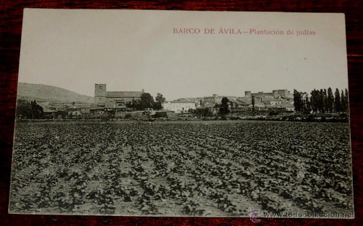 Postales: POSTAL DE BARCO DE &Aacute;VILA (&Aacute;VILA).- PLANTACI&Oacute;N DE JUDIAS - NO CIRCULADA, PERO ESCRITA EN 1926 - NO PO