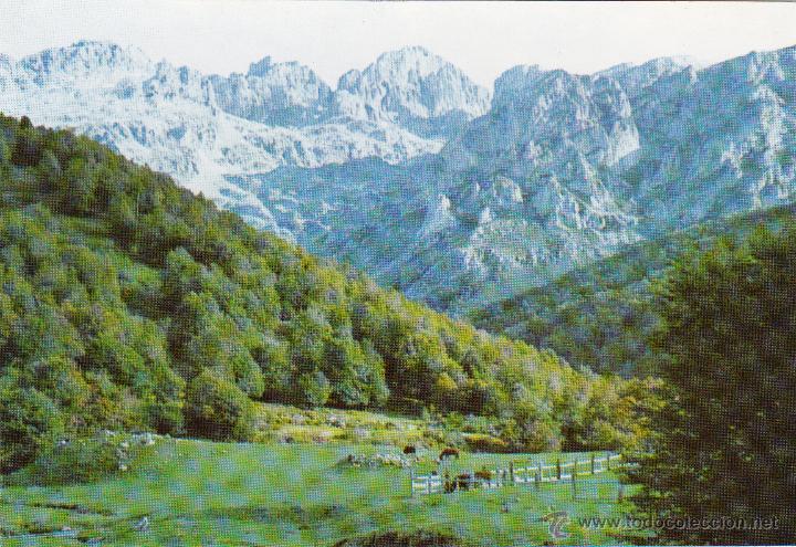 Postales: PICOS DE EUROPA ( LEON ) - SOTO DE SAJAMBRE DESDE VEGABA&Ntilde;O - CLUB AGUSTINOS LEON - SIN CIRCULAR