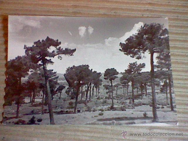 Postales: PINARES LAS NAVAS DEL MARQUES AVILA ED VISTABELLA N&ordm; 22 ESCRITA