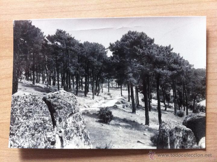 Postales: 5 Las Navas del Marqu&eacute;s (&Aacute;vila). Pinar - Foto 1