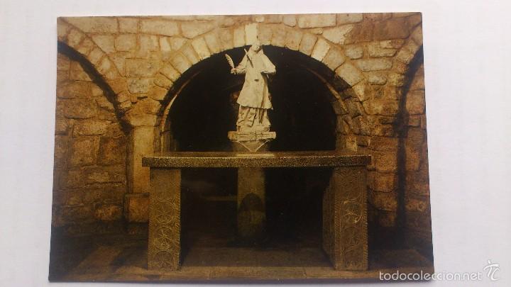 Postales: POSTAL PALENCIA - CRIPTA DE LA CATEDRAL - Foto 1