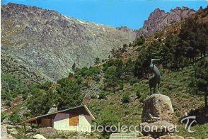 Postales: POSTAL SIERRA DE GREDOS. NOGAL DEL BARRANCO CON LOS GALAYOS AL FONDO